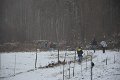 Wandertag 2017 - 063